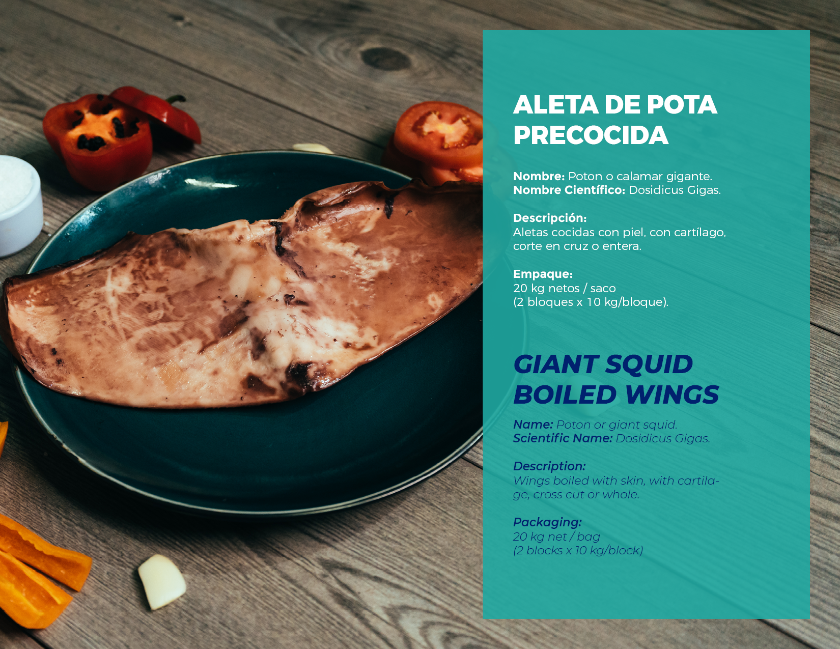 brochure 1